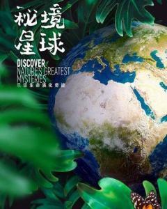 鱼缸的水浑浊怎么办怎么变清游戏画面