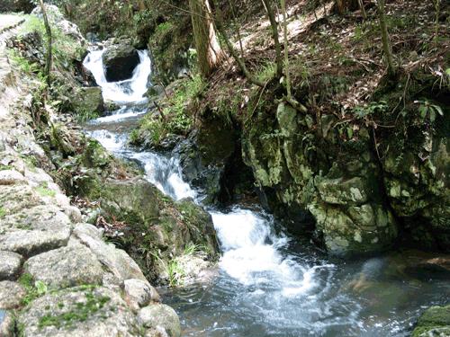 浏阳市北盛镇：抓小微水体畅通 打通治水护水“最后一公里”
